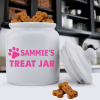 Colorful Classic Dog Treat Jars